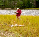 Spartina monitoring