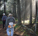 bird surveys